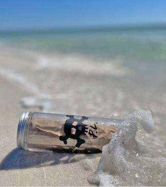 Treasure Trex Treasure Trex