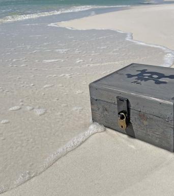 Treasure Trex Treasure Trex