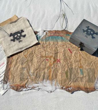 Treasure Trex Treasure Trex