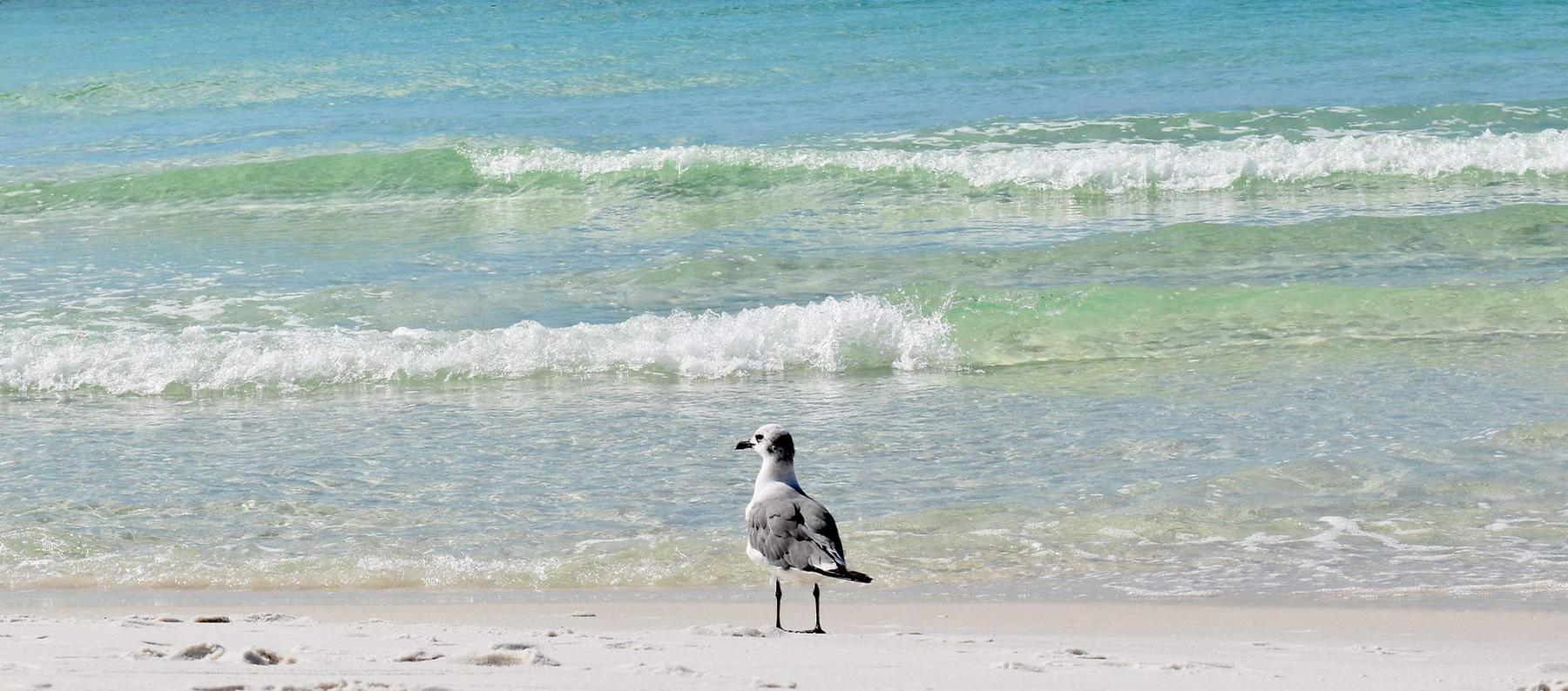 Seaside, Florida beach