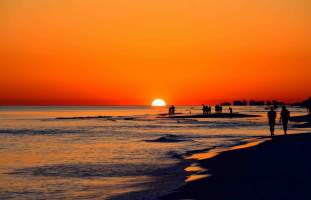 FALL COLORS 20% SAVINGS IN SEASIDE, FL